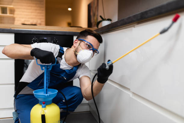 Best Flea Control Services  in Northvale, NJ